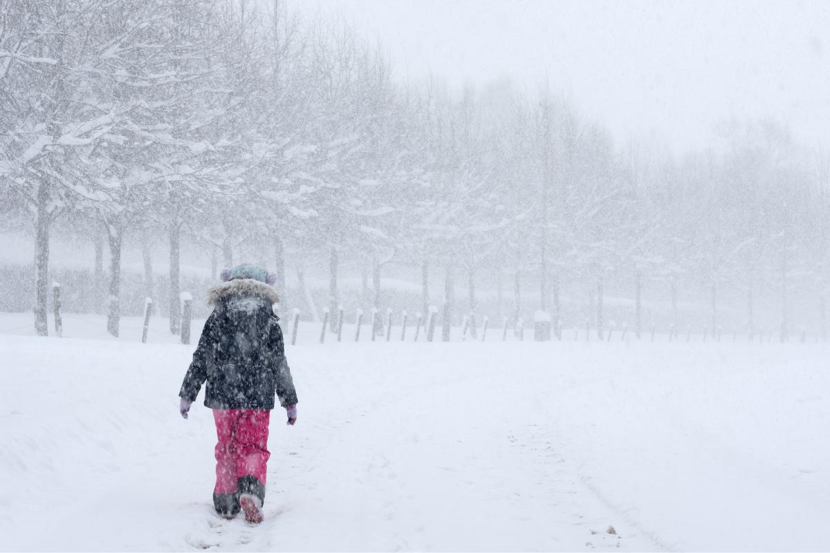 Frío siberiano o bestia del este: qué es, temperatura, cómo se forma y consecuencias