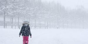 Frío siberiano o bestia del este: qué es, temperatura, cómo se forma y consecuencias