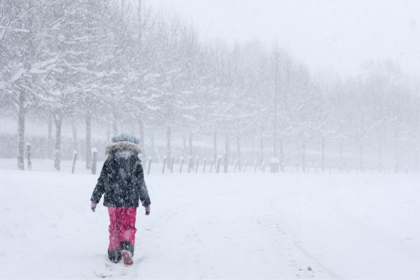 Frío siberiano o bestia del este: qué es, temperatura, cómo se forma y consecuencias