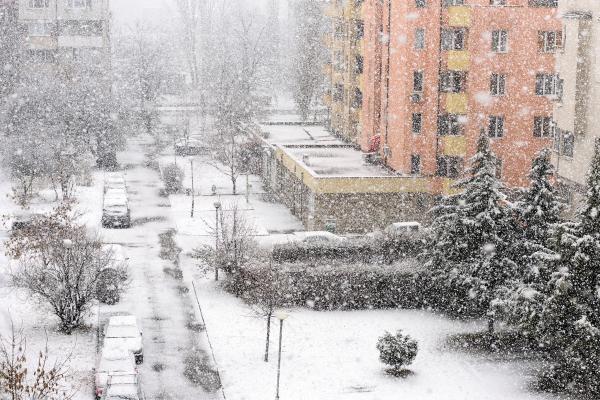 Frío siberiano o bestia del este: qué es, temperatura, cómo se forma y consecuencias - Qué es el frío siberiano o la bestia del este
