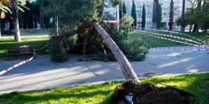 Qué está provocando el fuerte viento en Cataluña y por qué este temporal es diferente a otros
