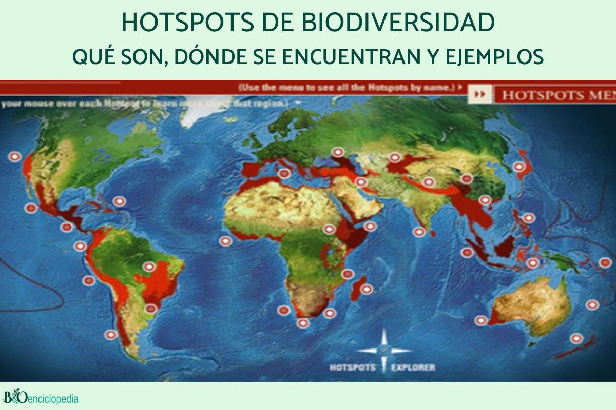 Hotspots de biodiversidad: qué son, dónde se encuentran y ejemplos