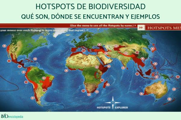 Hotspots de biodiversidad: qué son, dónde se encuentran y ejemplos