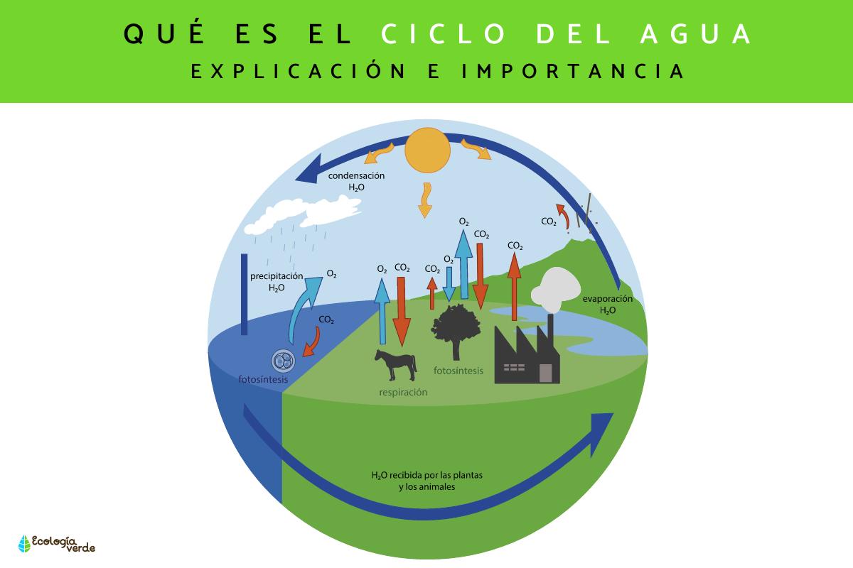 diagrama del ciclo del agua de recolección
