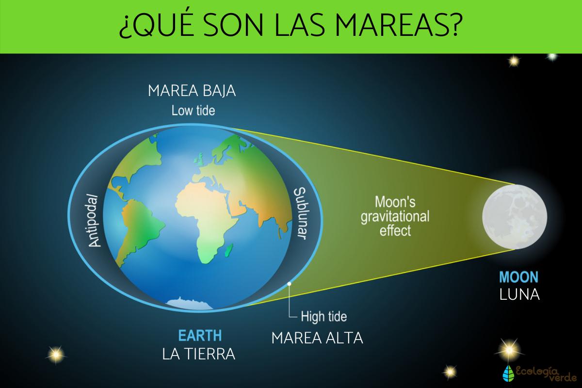 Qué son las mareas y por qué se producen