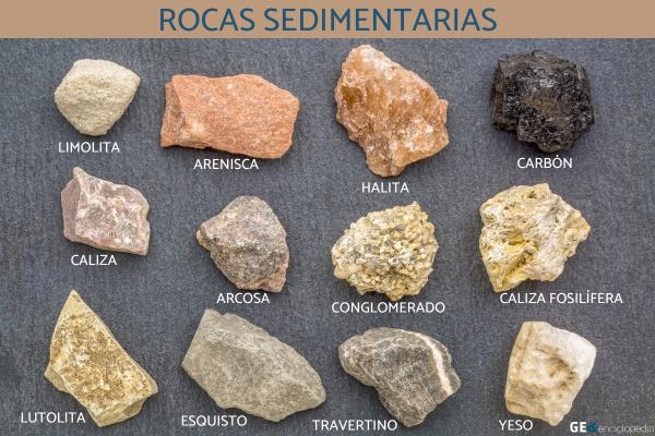 Rocas sedimentarias: qué son, características, formación, tipos y ejemplos - Tipos de rocas sedimentarias