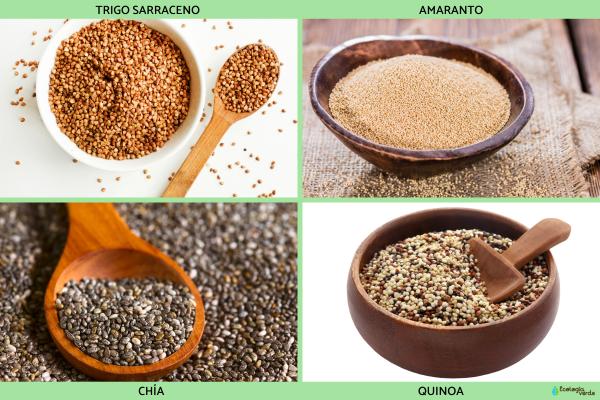 Pseudocereales: qué son, ejemplos, beneficios y diferencia con los cereales - Ejemplos de pseudocereales y sus beneficios