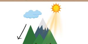 Microclima: qué es, formación y ejemplos