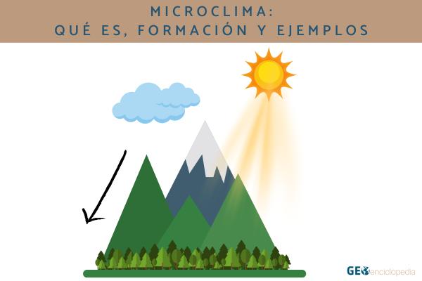 Microclima: qué es, formación y ejemplos