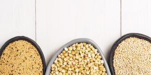 Pseudocereales: qué son, ejemplos, beneficios y diferencia con los cereales