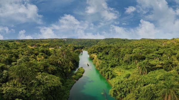 La Amazonía aún esconde secretos: descubren 118 nuevas especies en Ecuador - El descubrimiento de 118 nuevas especies en la Amazonía 