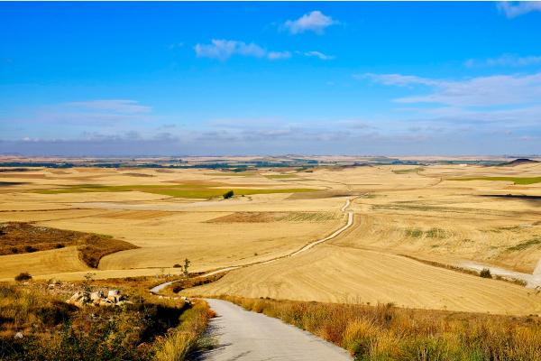 Climas de España: mapa, tipos y características - Clima continental