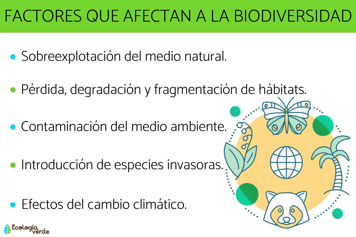 Cuáles son los factores que afectan a la biodiversidad
