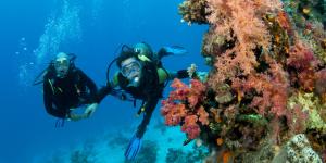 Oceanografía: qué es y ramas