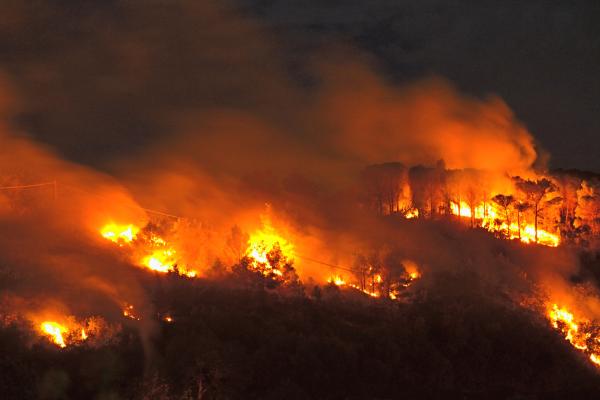 Qué son las tormentas de fuego, causas, cómo se forman y riesgos - ¿Cómo se forman las tormentas de fuego?
