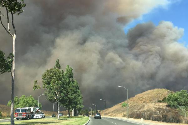 Qué son las tormentas de fuego, causas, cómo se forman y riesgos