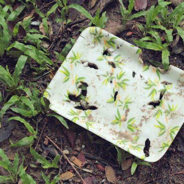 es bonito olvidar mostrar Cuánto tarda en degradarse el plástico biodegradable - descúbrelo aquí