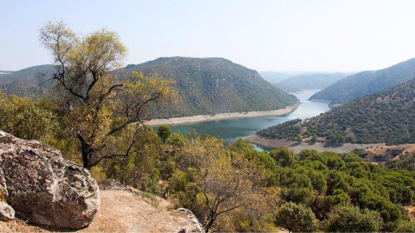 Ni Doñana ni Monfragüe: aquí vive una de las poblaciones de lince ibérico más importantes - El gran refugio del lince ibérico en Sierra Morena