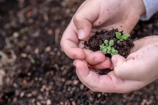 Maestría en Ciencias, mención Producción, Manejo y Conservación de Recursos Naturales