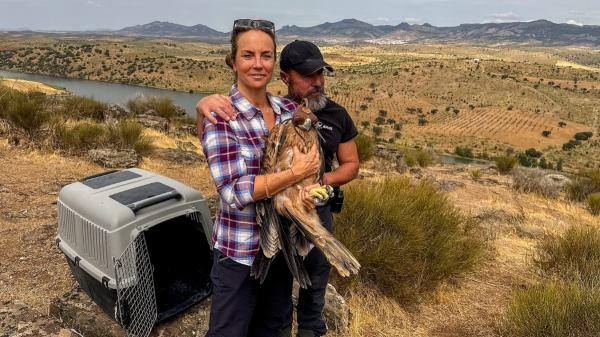 La hija de Félix Rodríguez de la Fuente libera en Extremadura un águila imperial que lleva el nombre de su padre y un GPS - El águila imperial que lleva el nombre de “Félix”