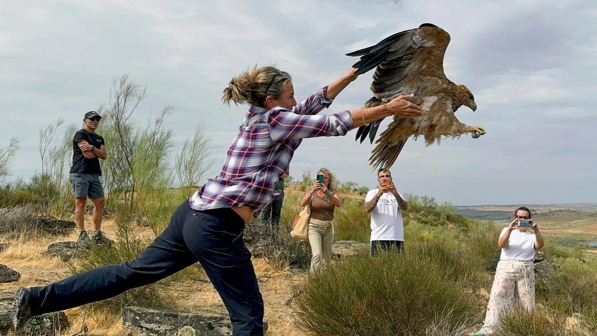 La hija de Félix Rodríguez de la Fuente libera en Extremadura un águila imperial que lleva el nombre de su padre y un GPS