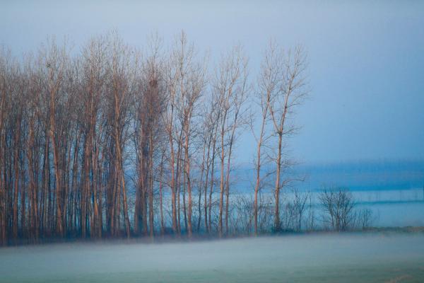 Niebla de advección: qué es, cómo se forma y diferencia con la de radiación - Cómo se forma la niebla de advección