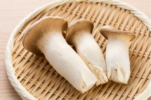 Las setas comestibles de Galicia - Setas del cardo (Pleurotus eryngii)