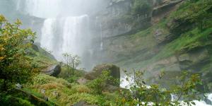 Ciclo del oxígeno: qué es y etapas