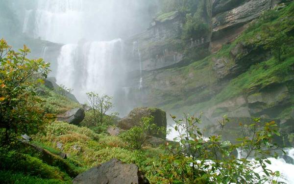 Ciclo del oxígeno: qué es y etapas