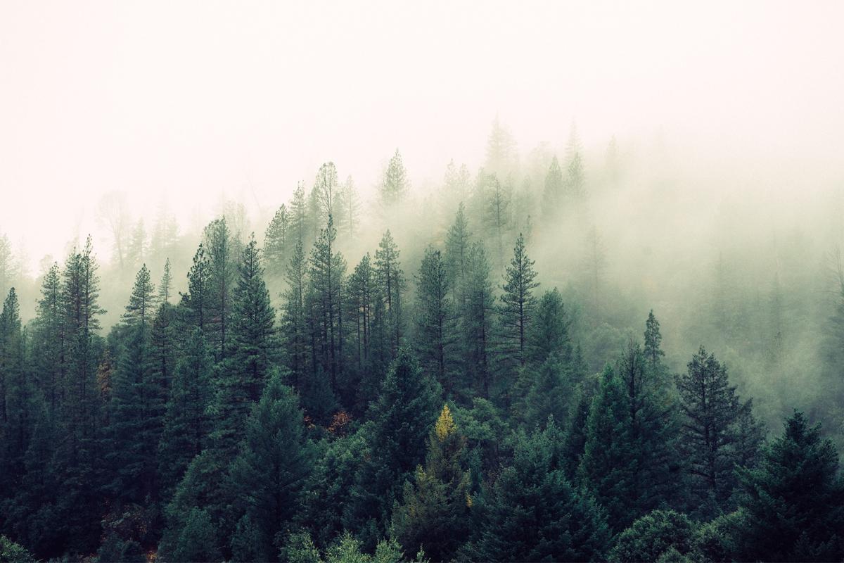 Lluvia horizontal: qué es y dónde ocurre