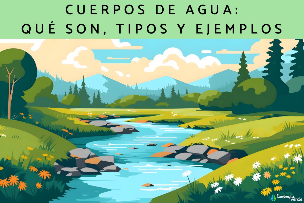 Cuerpos de agua: qué son, tipos y ejemplos