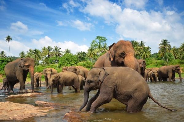 Asia - División política de Asia