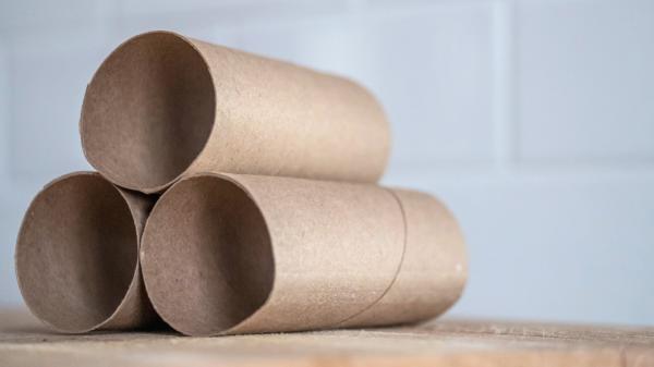 Los tubos de cartón del papel higiénico tienen una segunda vida: así puedes aprovecharlos en el jardín - El cartón también puede convertirse en material para el compost