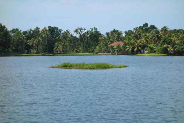 Tipos de agua - Agua salobre
