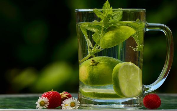 Limonero - Reproducción y variedades