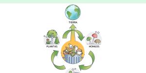 Biorremediación: qué es, tipos y ejemplos