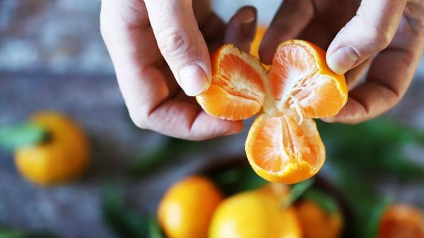 Ulla Rothschuh, bióloga, sobre los beneficios y las contraindicaciones de la mandarina: “Puede ser un excelente apoyo natural para prevenir y tratar ciertas molestias” - Las propiedades de la mandarina que explican sus beneficios para la salud