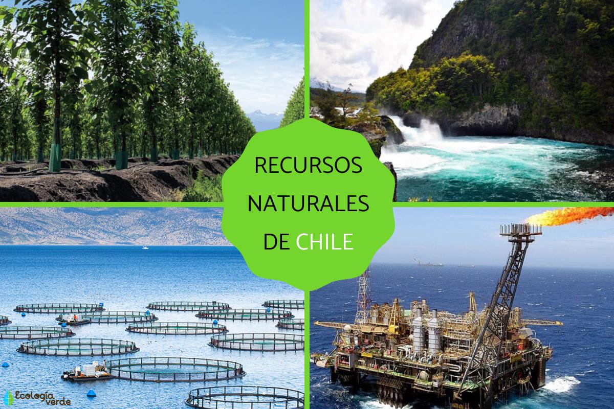 Recursos naturales de Chile