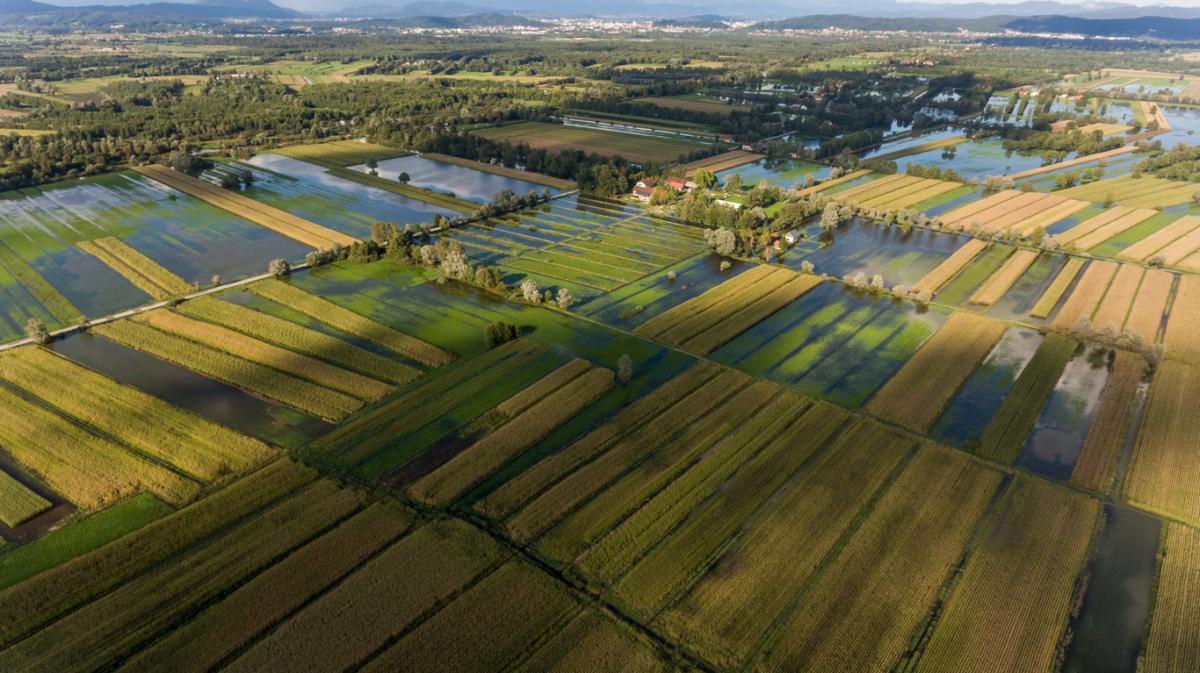 Conectividad ecológica: definición, características e importancia