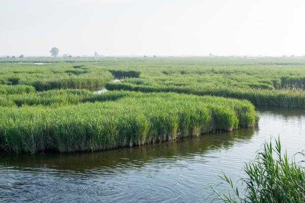 Río Ebro - Importancia del río Ebro