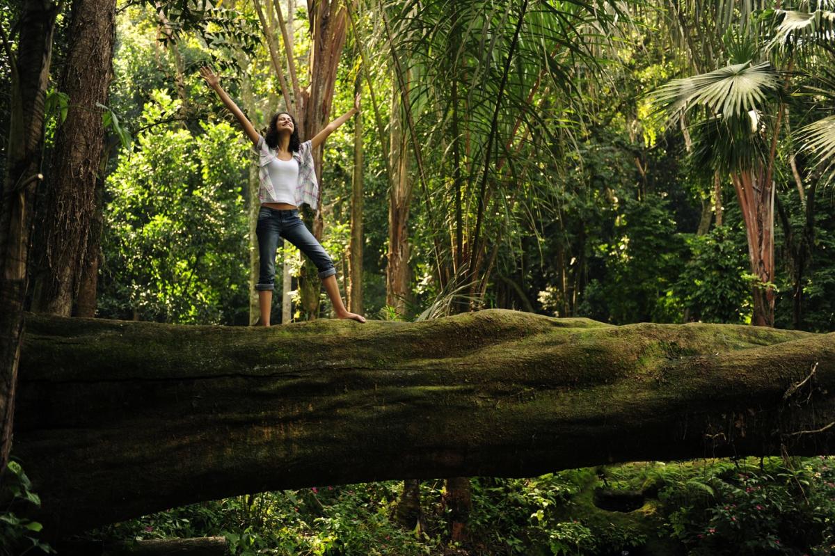 Baño de bosque: qué es y cómo se hace