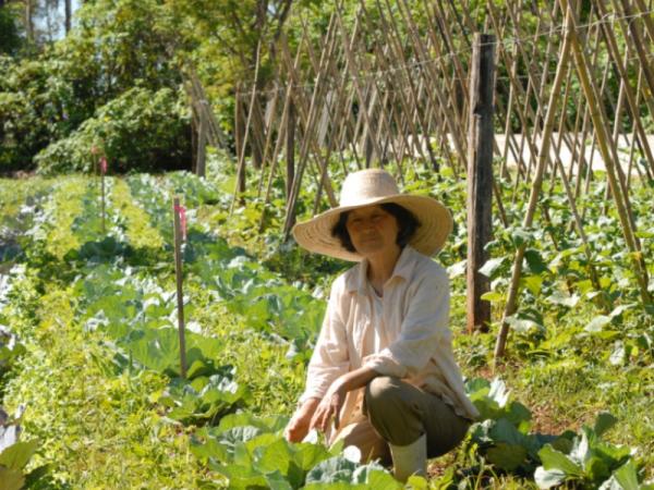 Cómo combatir plagas en agricultura ecológica