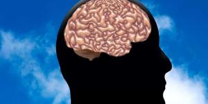 Sistema Endocrino Humano