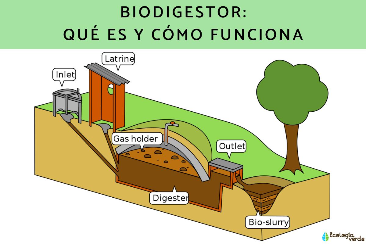 Biodigestor: qué es y cómo funciona
