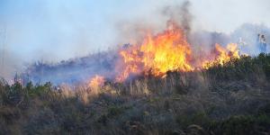 “La mayoría de los incendios forestales tienen origen humano”, advierte el ambientólogo Germán Portillo