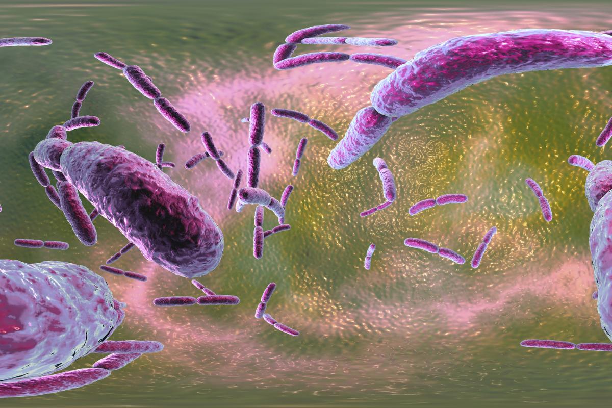 Microbioma: qué es, funciones y ejemplos