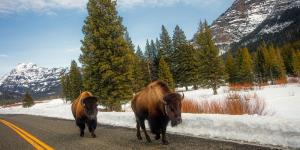 Áreas Naturales Protegidas de América
