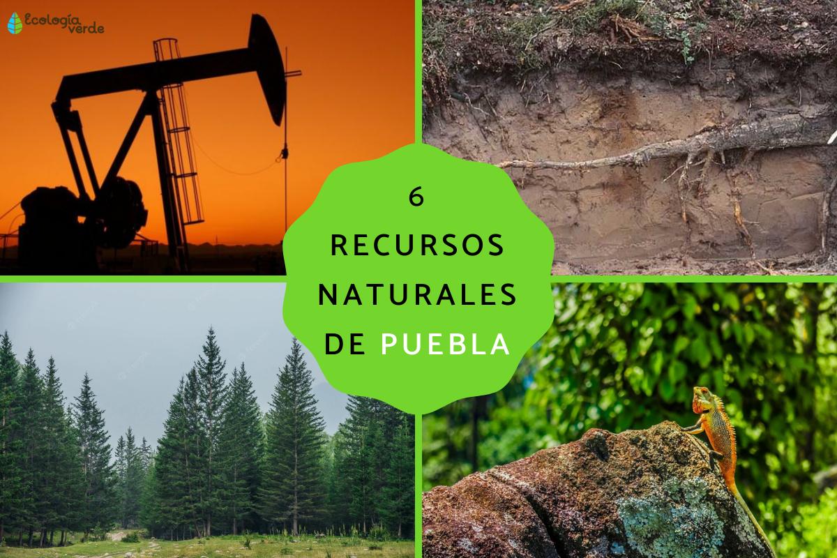 Recursos naturales de Puebla