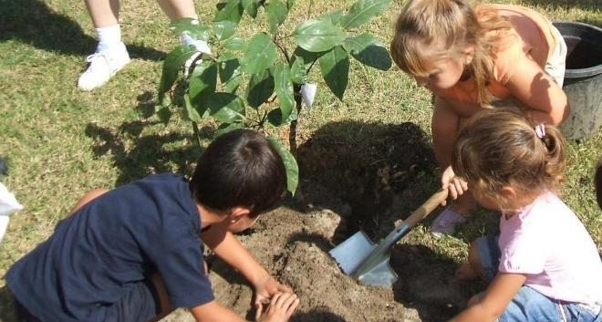 Cómo enseñar ecología en las escuelas