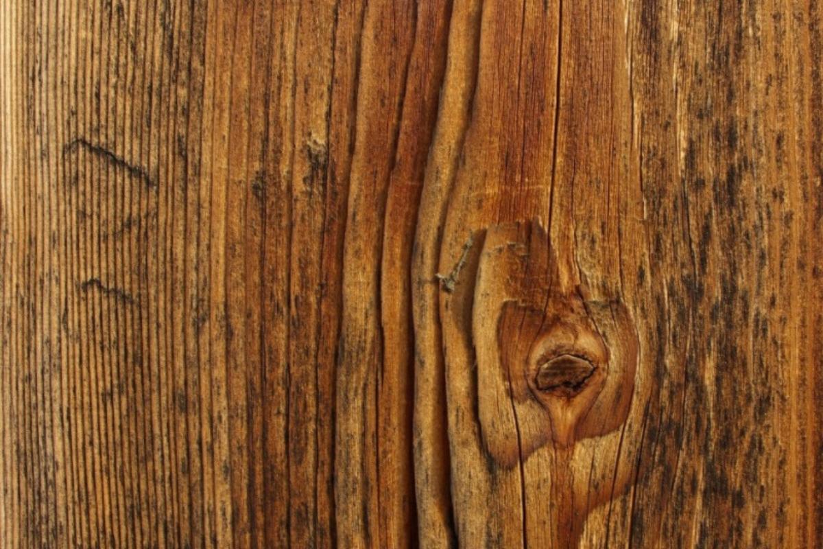 Tipos de madera :características y clasificación con ejemplos Tipos de madera :características y clasificación con ejemplos